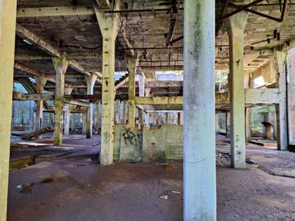 Obrázek /media/u5edcuux/20241026_122227.jpg