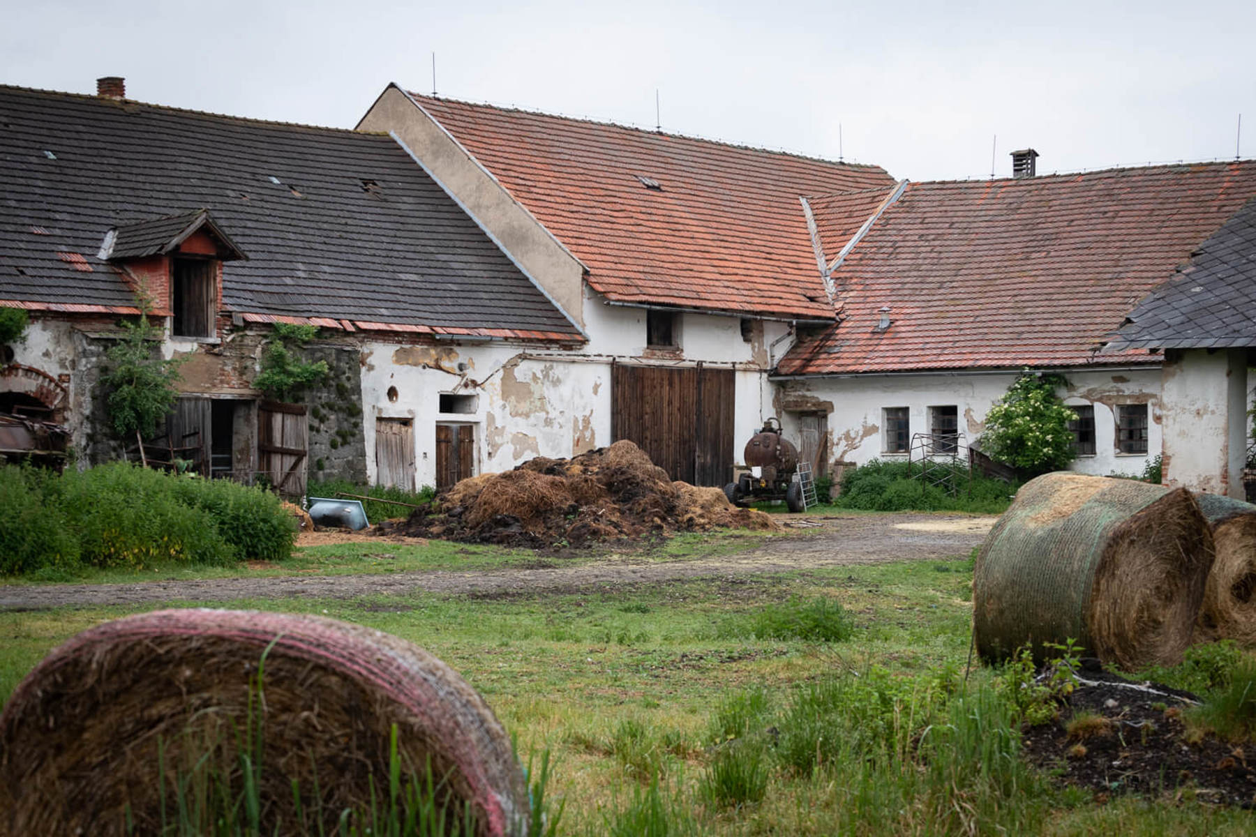 Image /media/uapkylaz/dsc0429.jpg