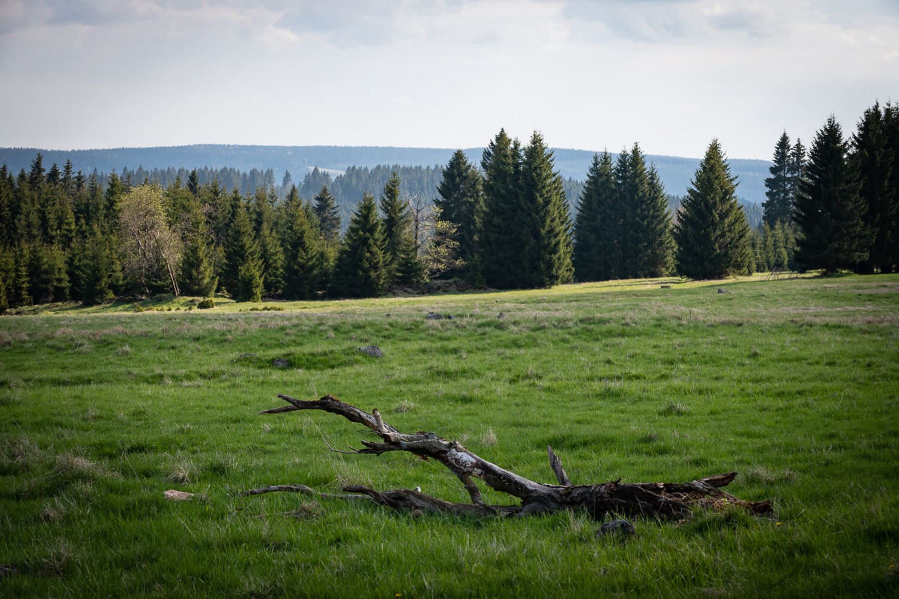 Image /media/udbfv3xl/dsc8120.jpg