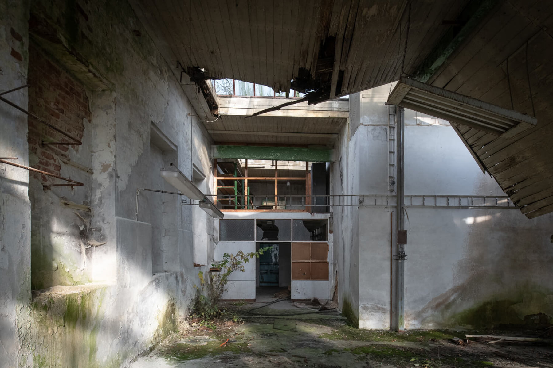 Image /media/ufil02wu/_dsc0723.jpg