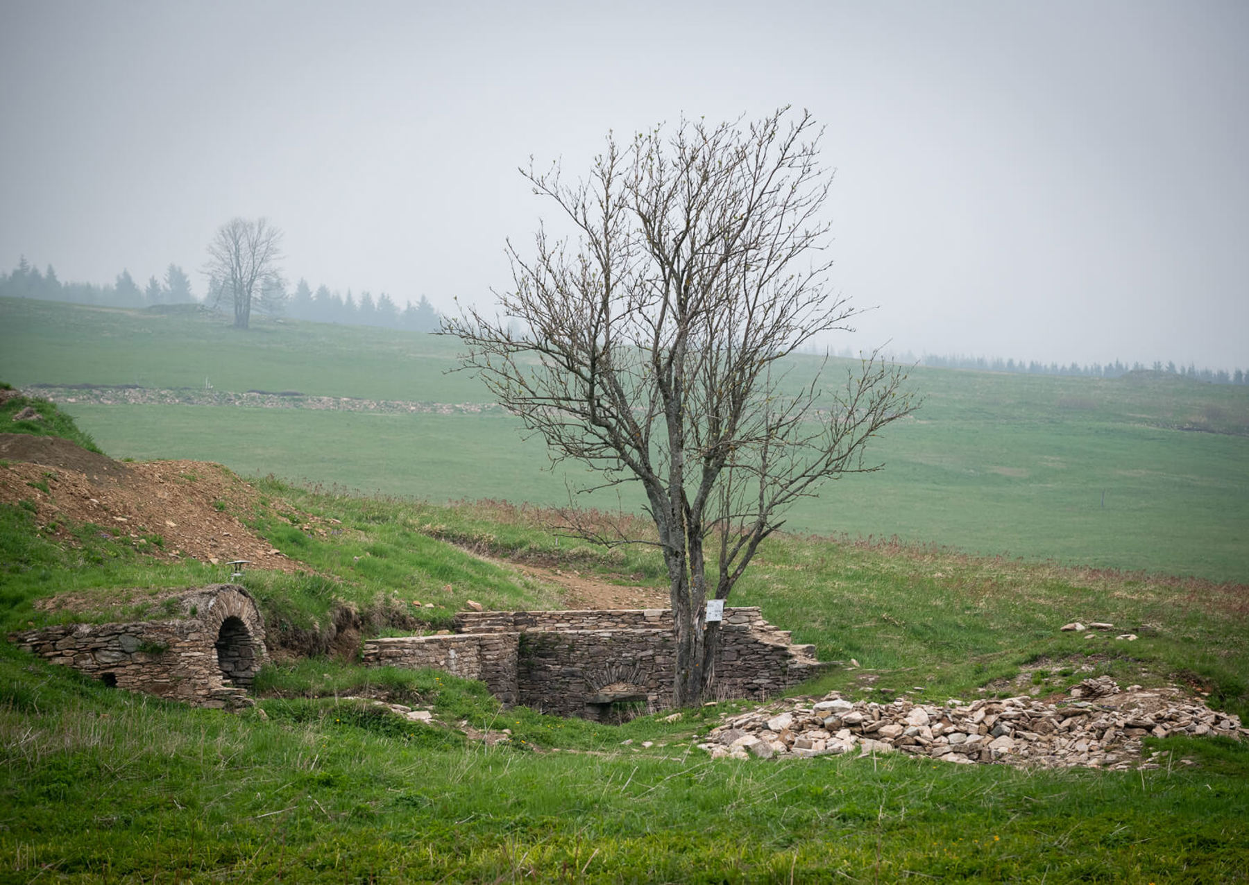 Image /media/ufwp5amh/dsc8416.jpg