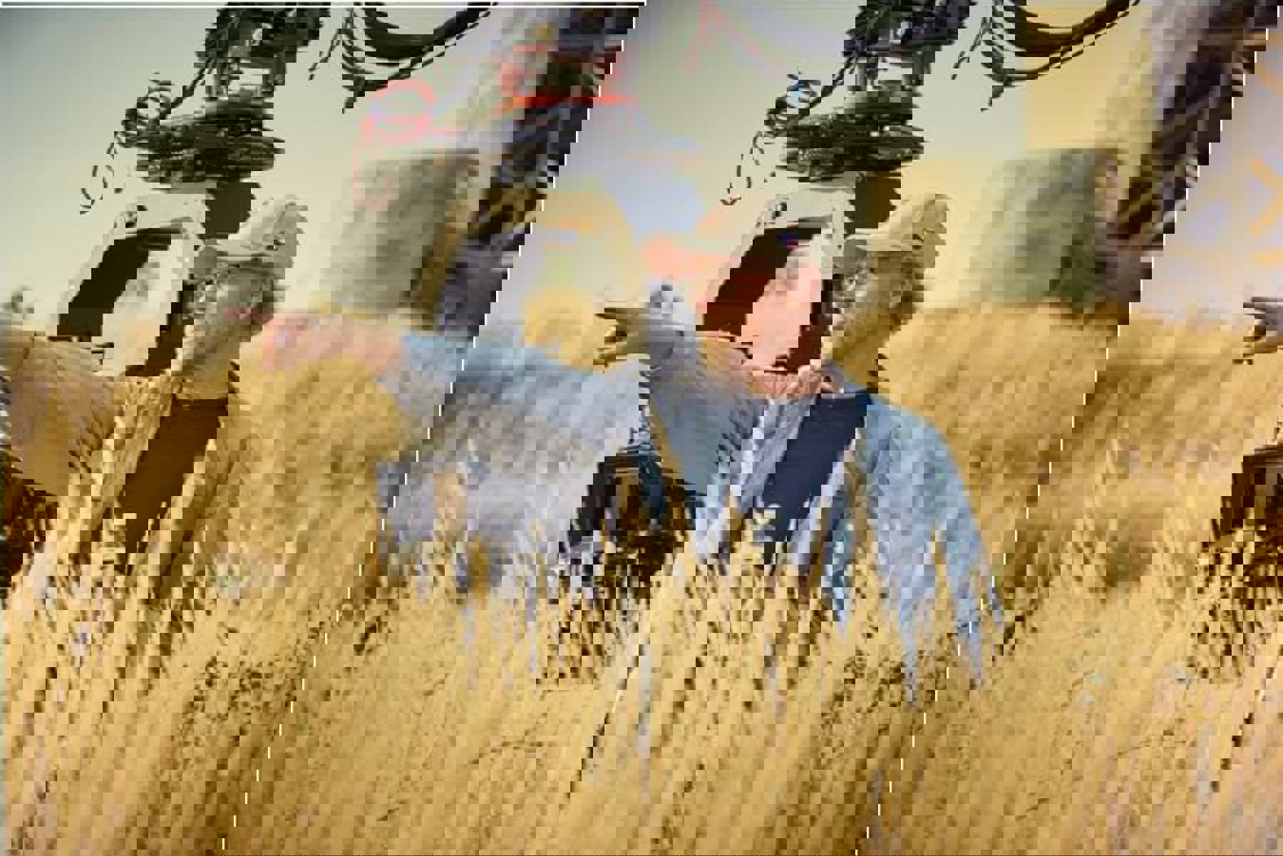 Image /media/ukyln4so/ep101_genius_130.jpg