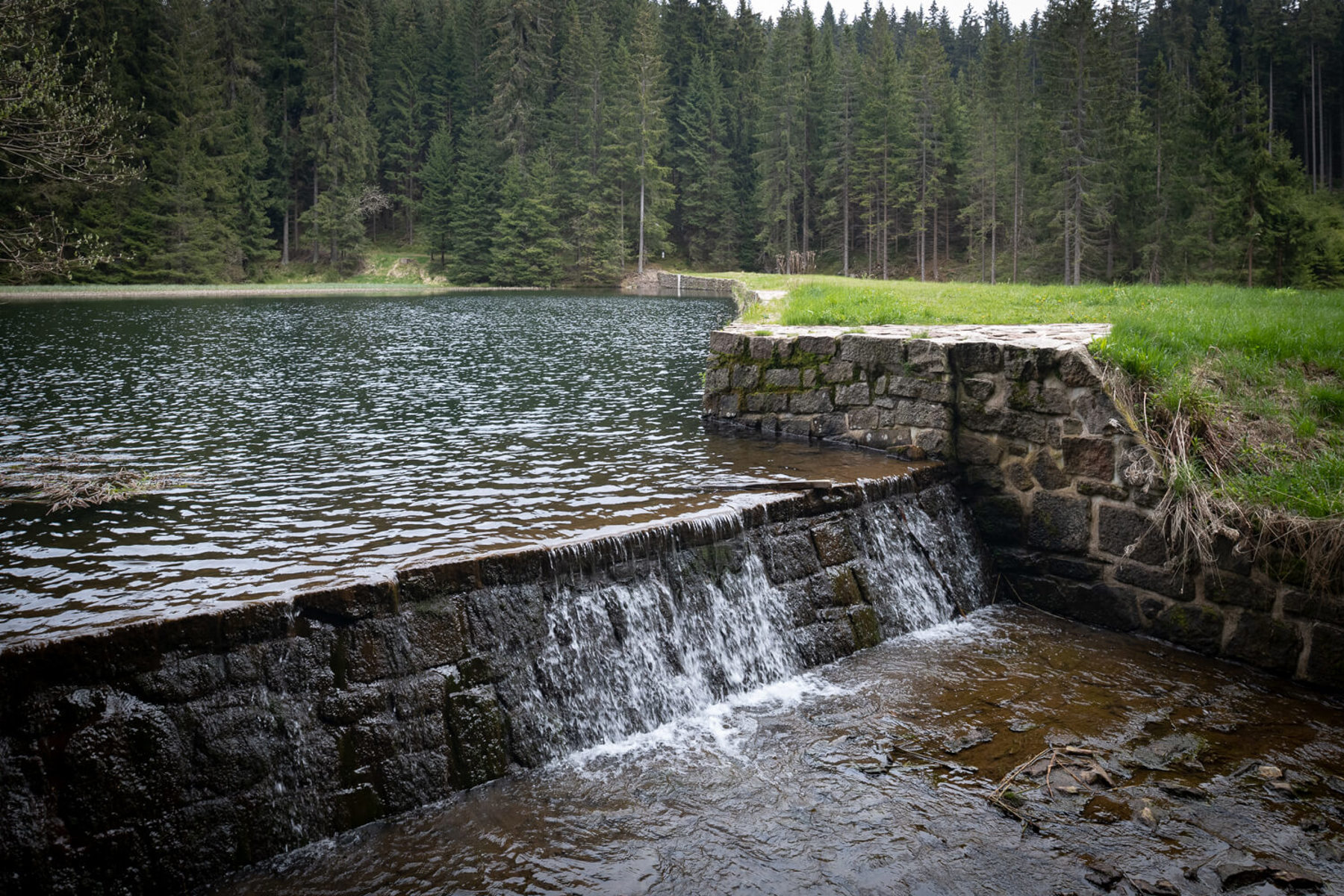 Image /media/uq3jcrwn/dsc8710.jpg