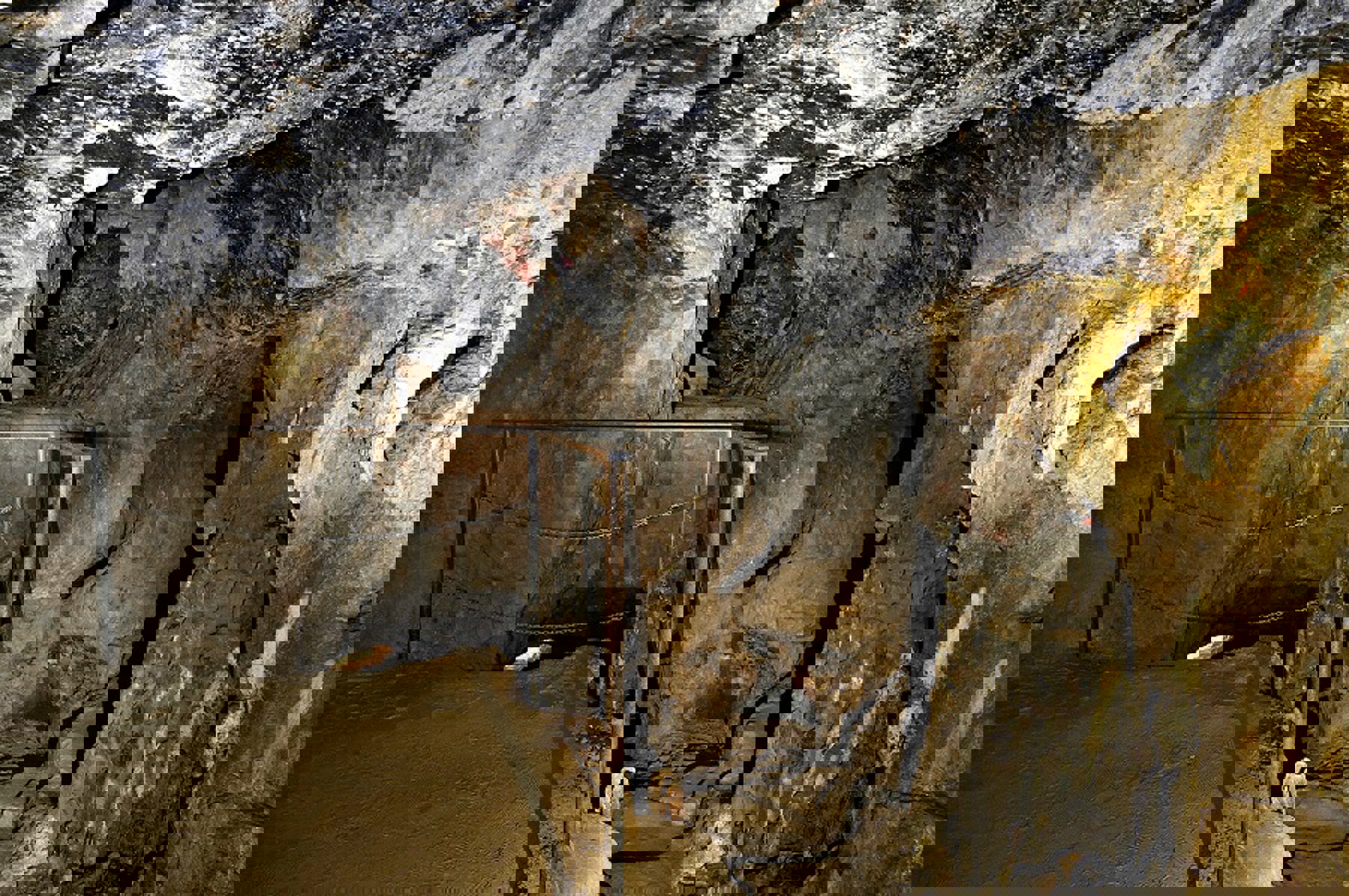 Obrázek /media/ur4oxmg2/jeronym_31.jpg