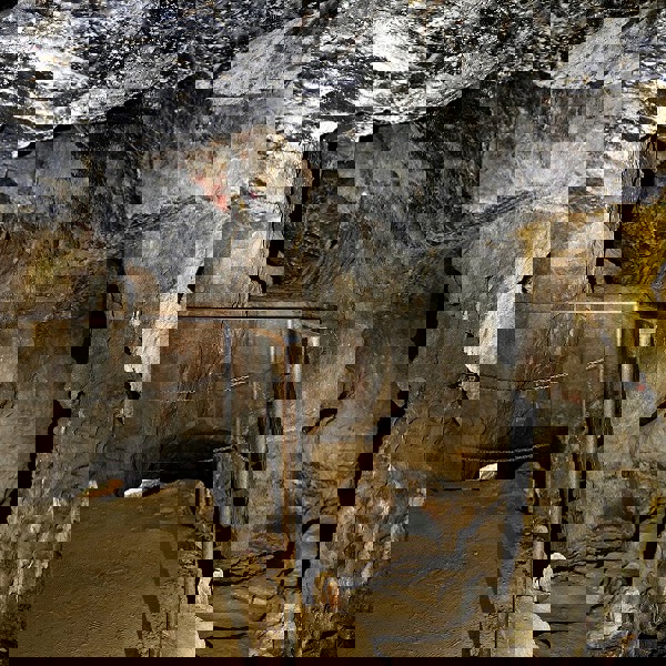 Obrázek /media/ur4oxmg2/jeronym_31.jpg