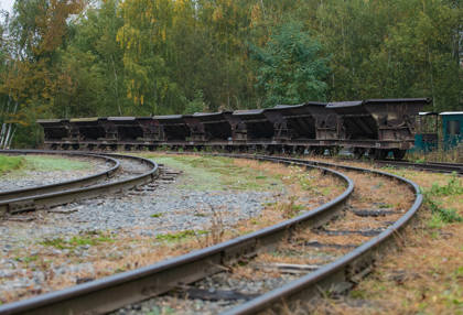 Image /media/usvkfc2e/_dsc3121.jpg