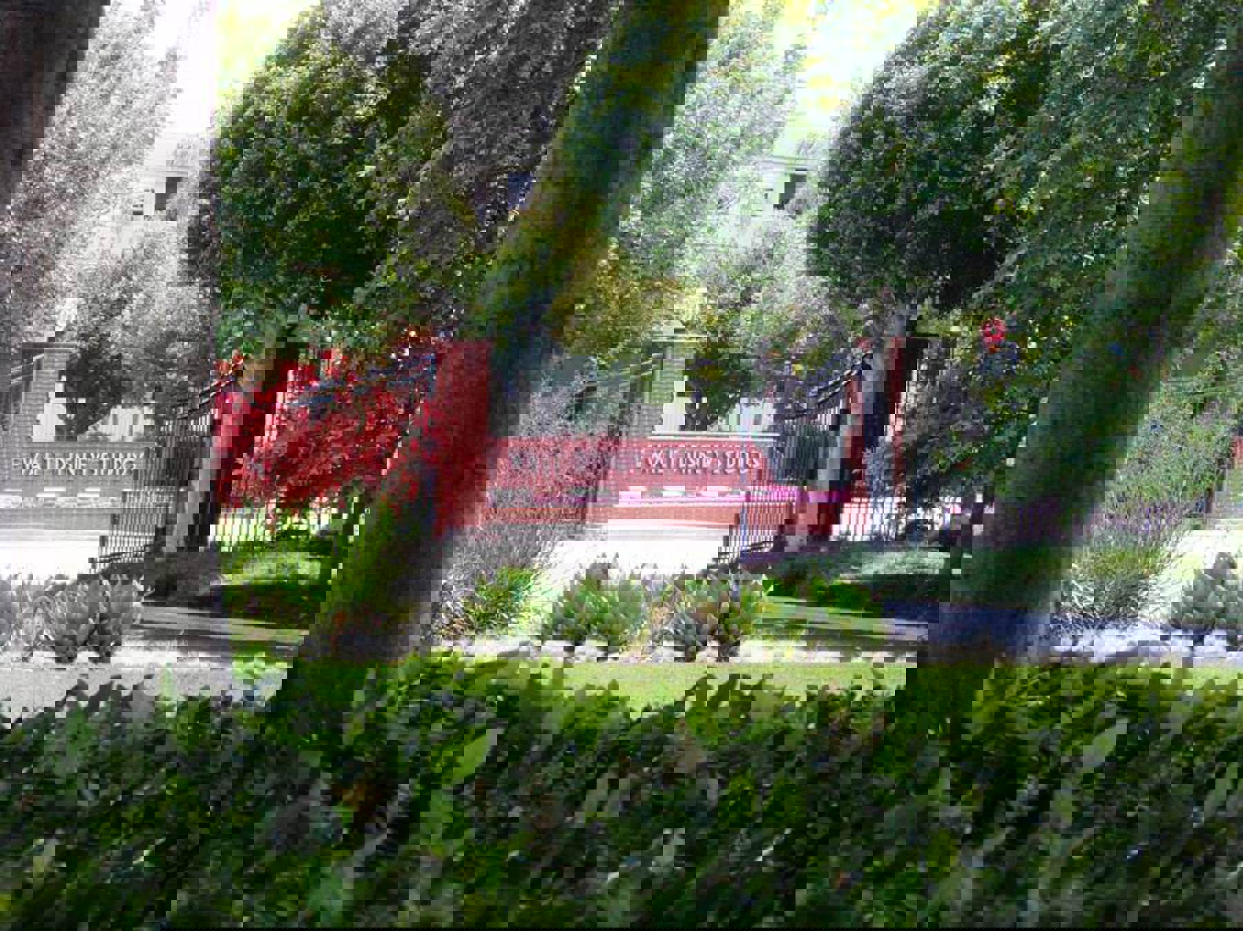 Image /media/utkph5lg/p60501171.jpg