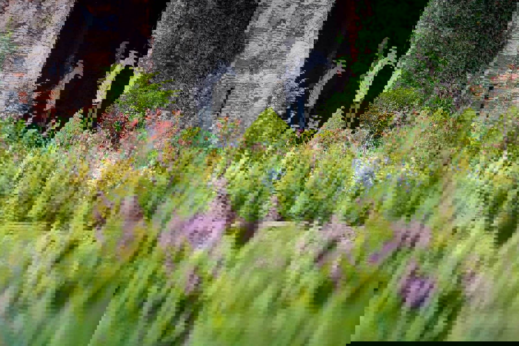 Image /media/utzdgt1j/zamek_trebesice_38.jpg