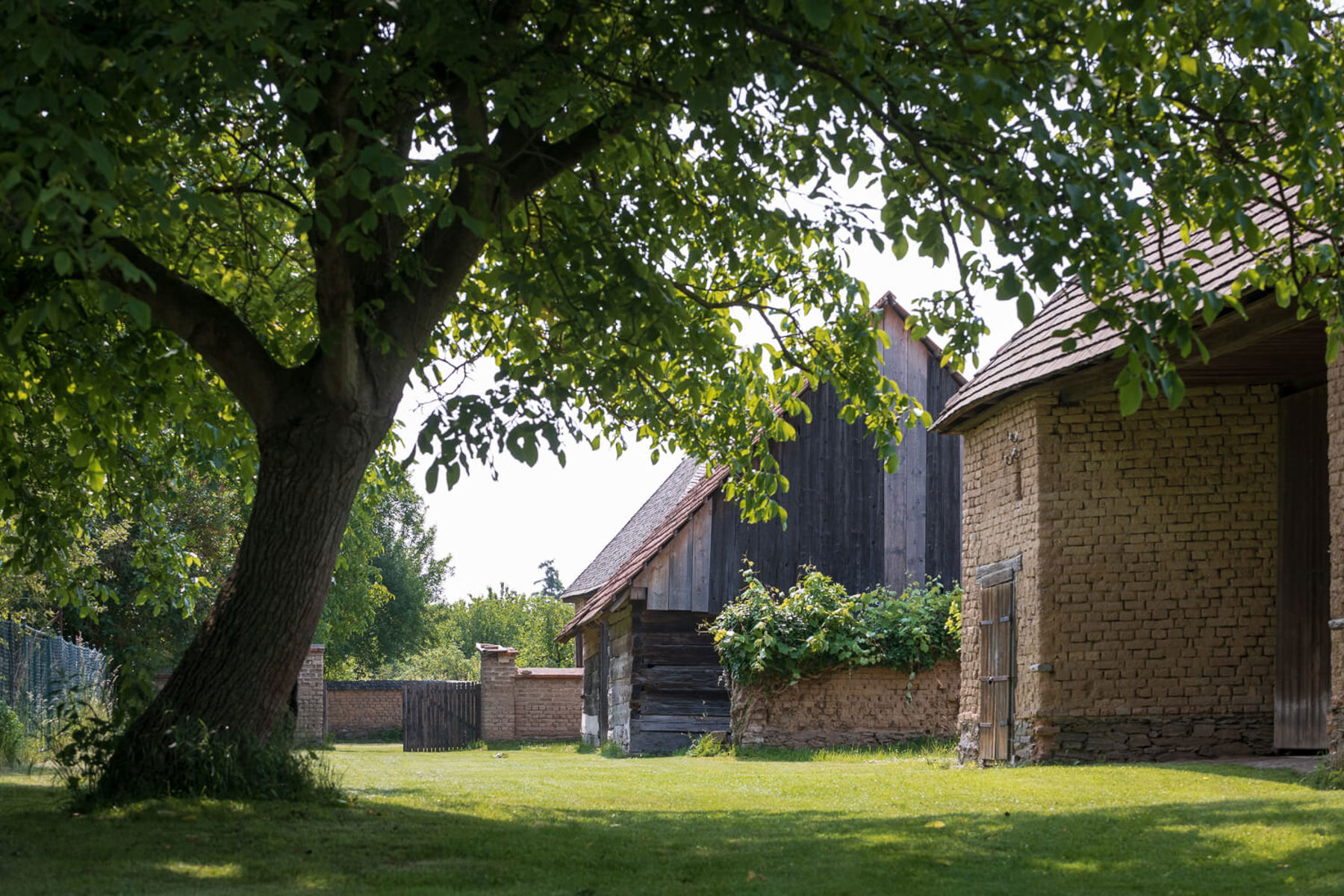 Image /media/uwfflfpm/_dsc7261.jpg