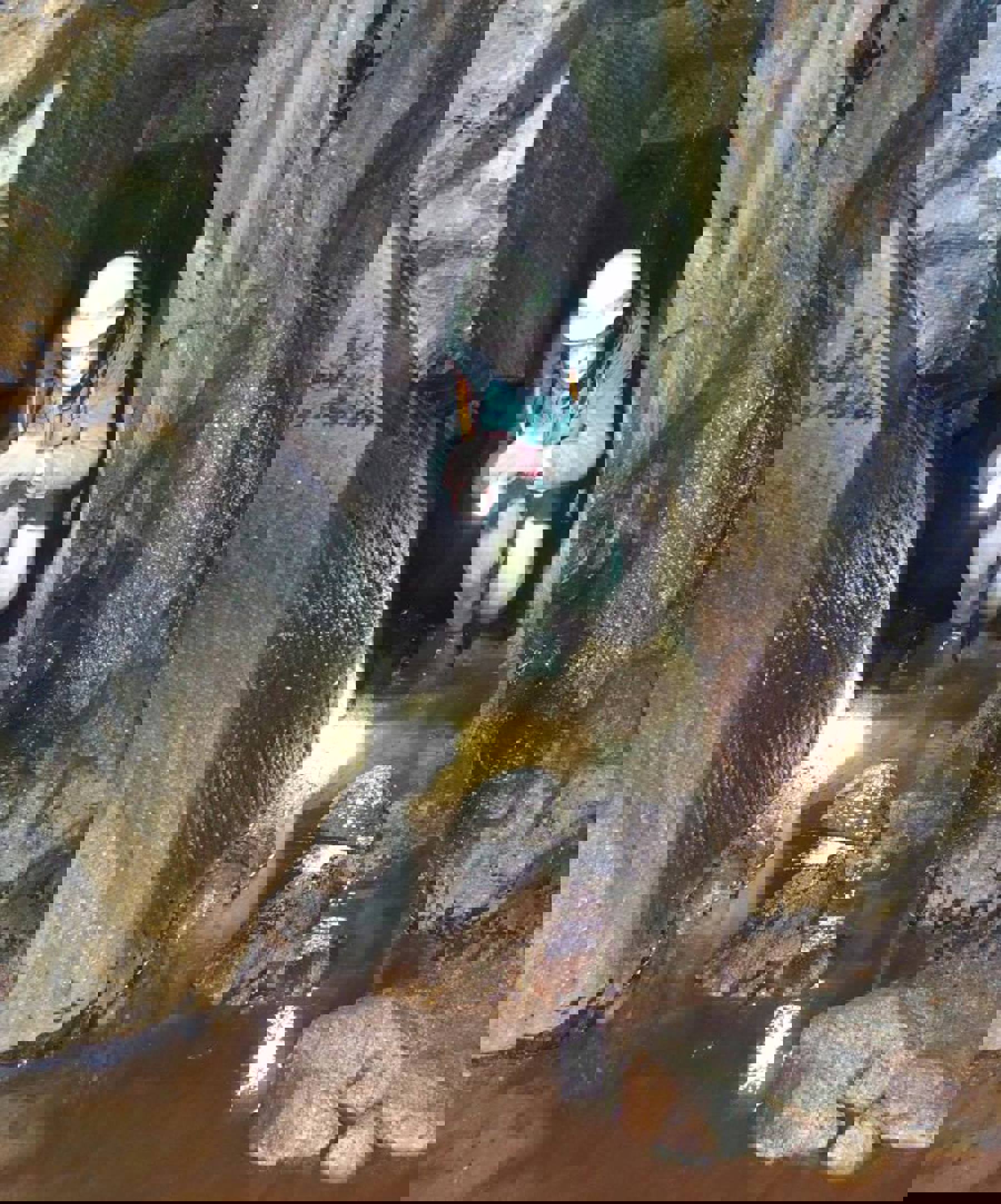 Obrázek /media/v1qfbn31/13900319_1101408163270387_7010532758865438170_n.jpg