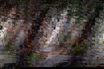 Obrázek /media/v4bnntzj/lipnicke_lomy_dsc_5258.jpg