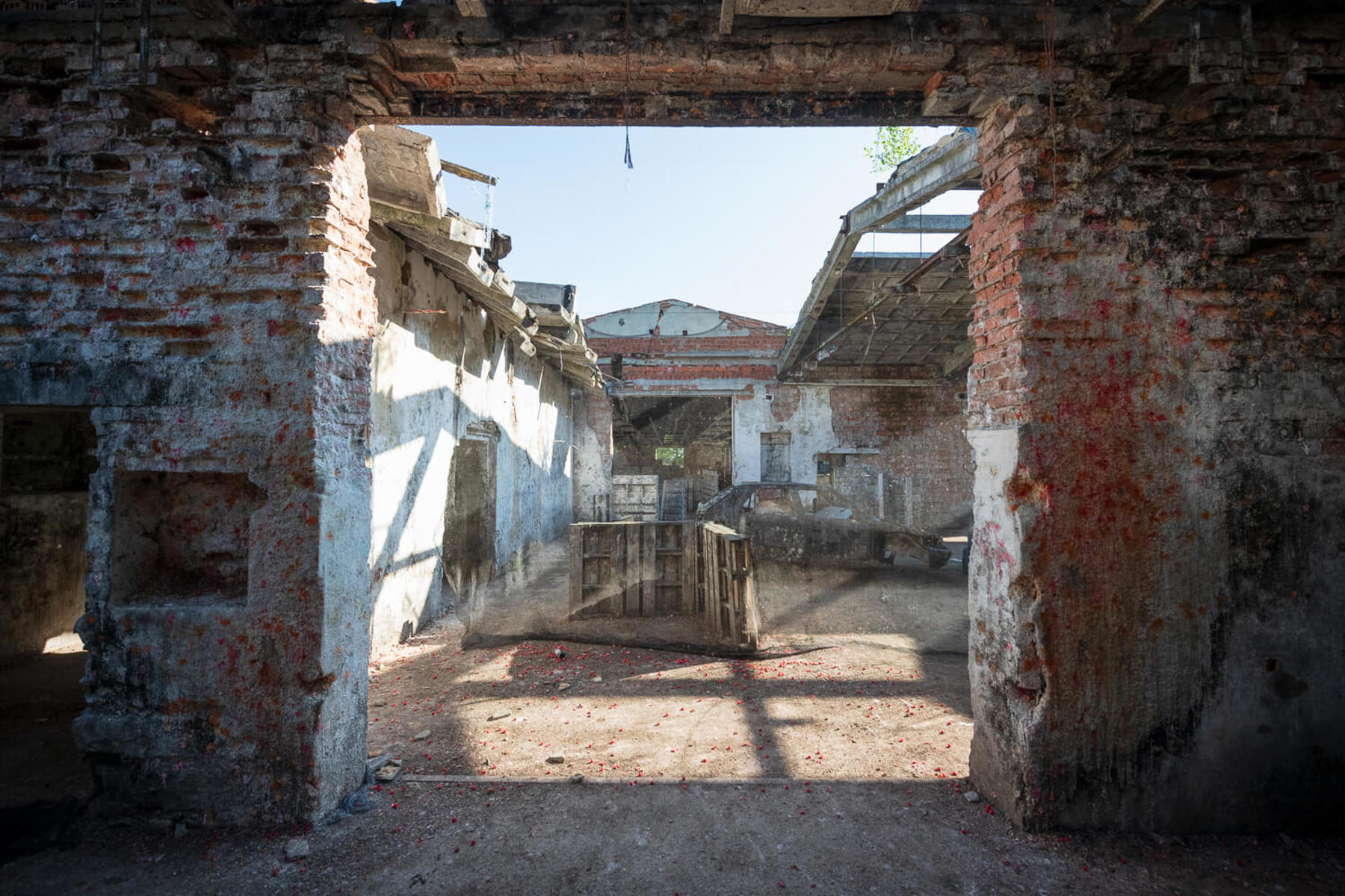 Image /media/v4fhcwzh/_dsc4852.jpg