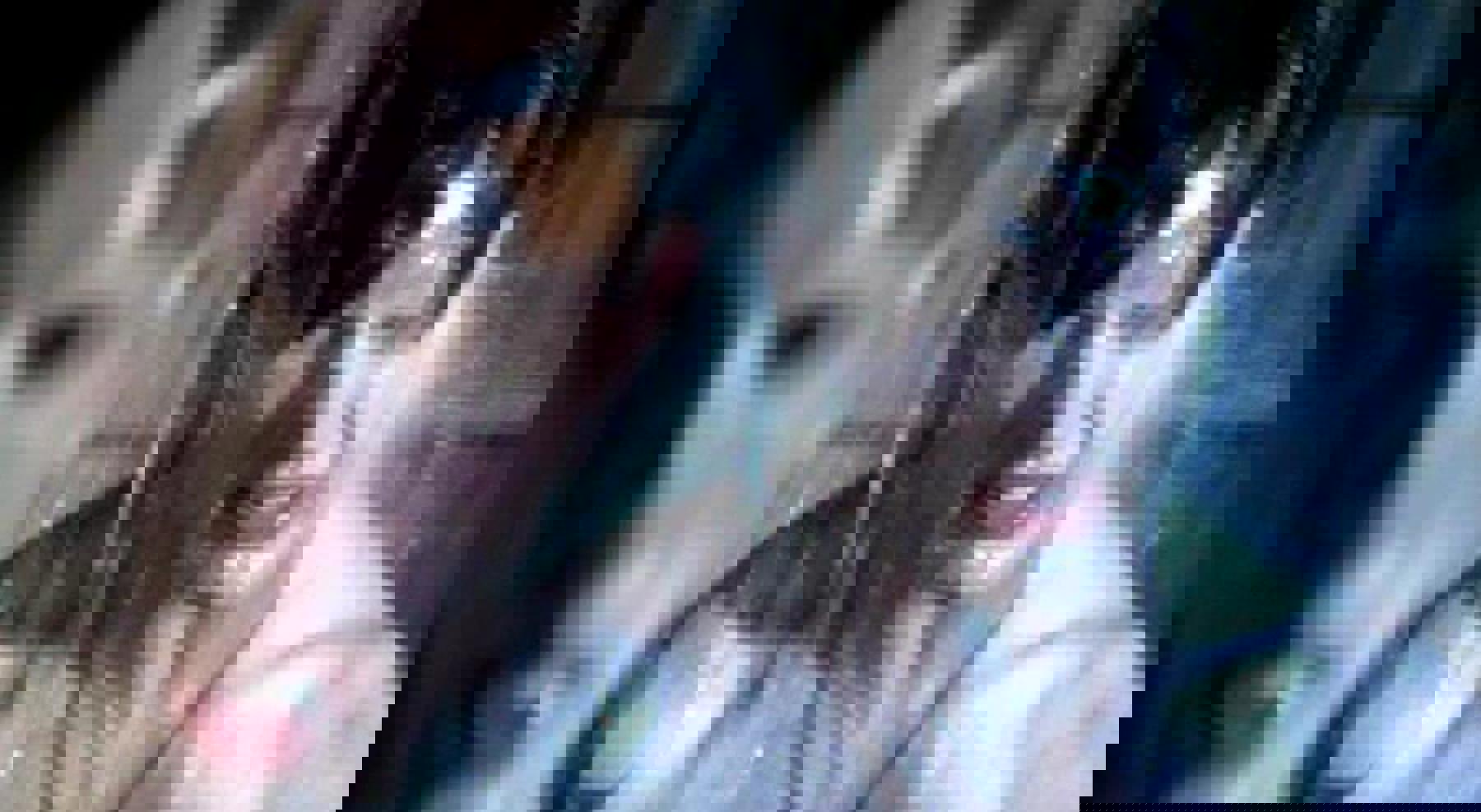 Image /media/v4ujig11/colditz_7.jpg