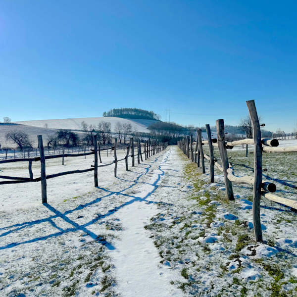 Obrázek /media/ve0droct/61-statek-zahorany.jpg