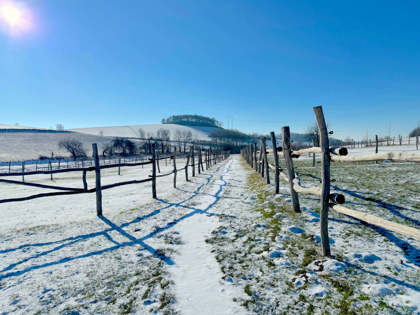 Obrázek /media/ve0droct/61-statek-zahorany.jpg