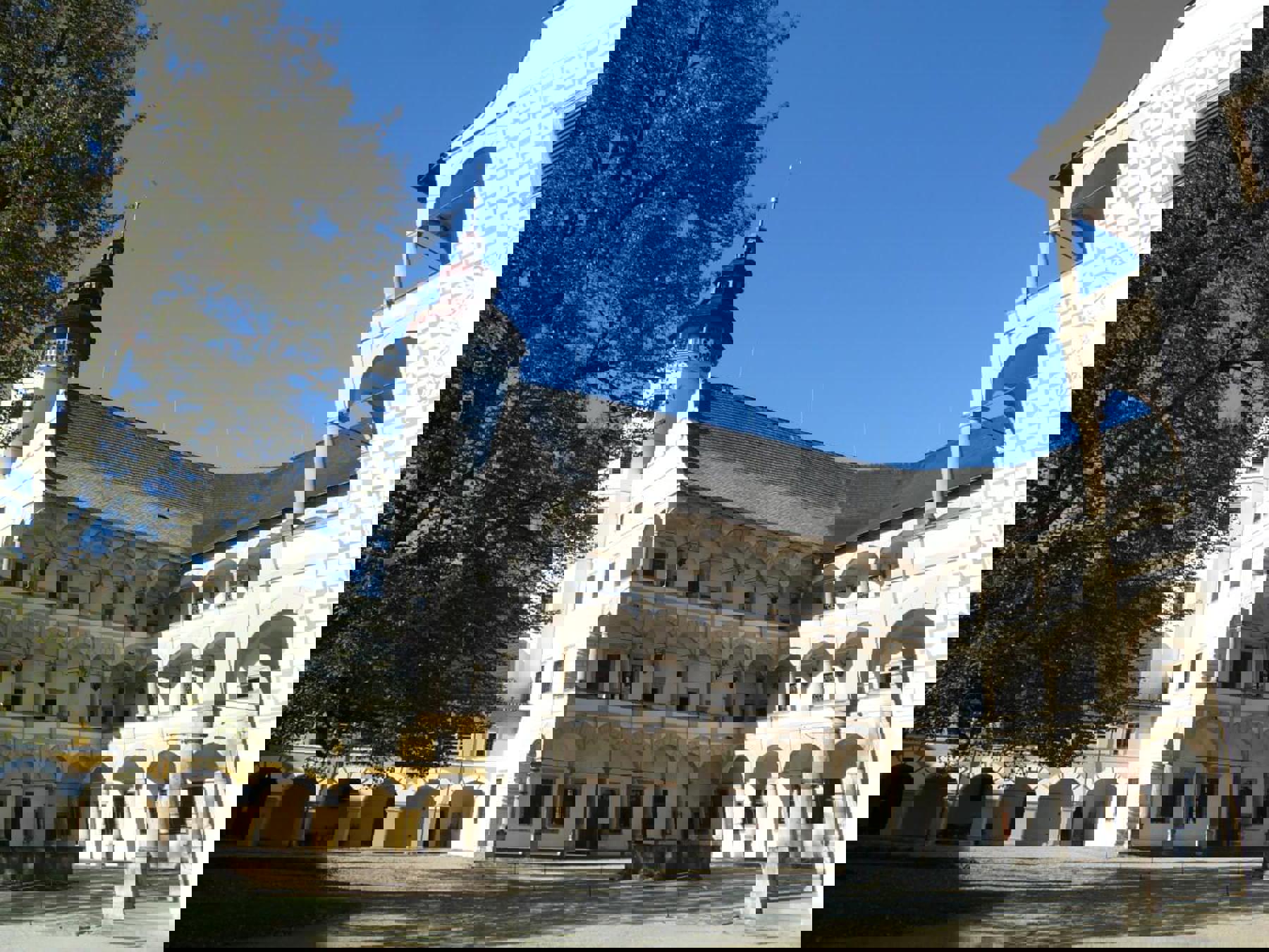 Image /media/vgepl504/p1130219.jpg