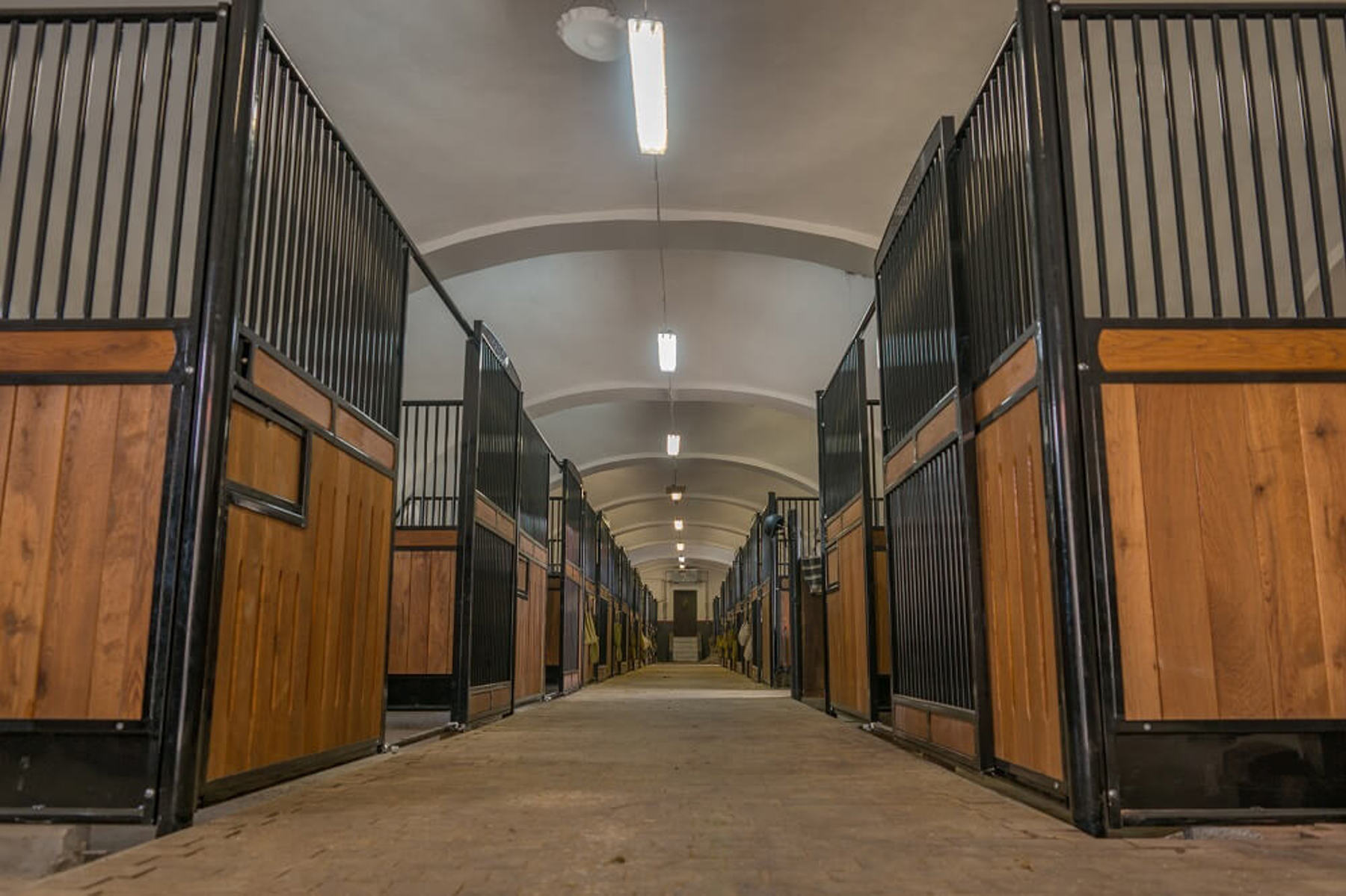 Image /media/vj3kitzy/staje_5.jpg