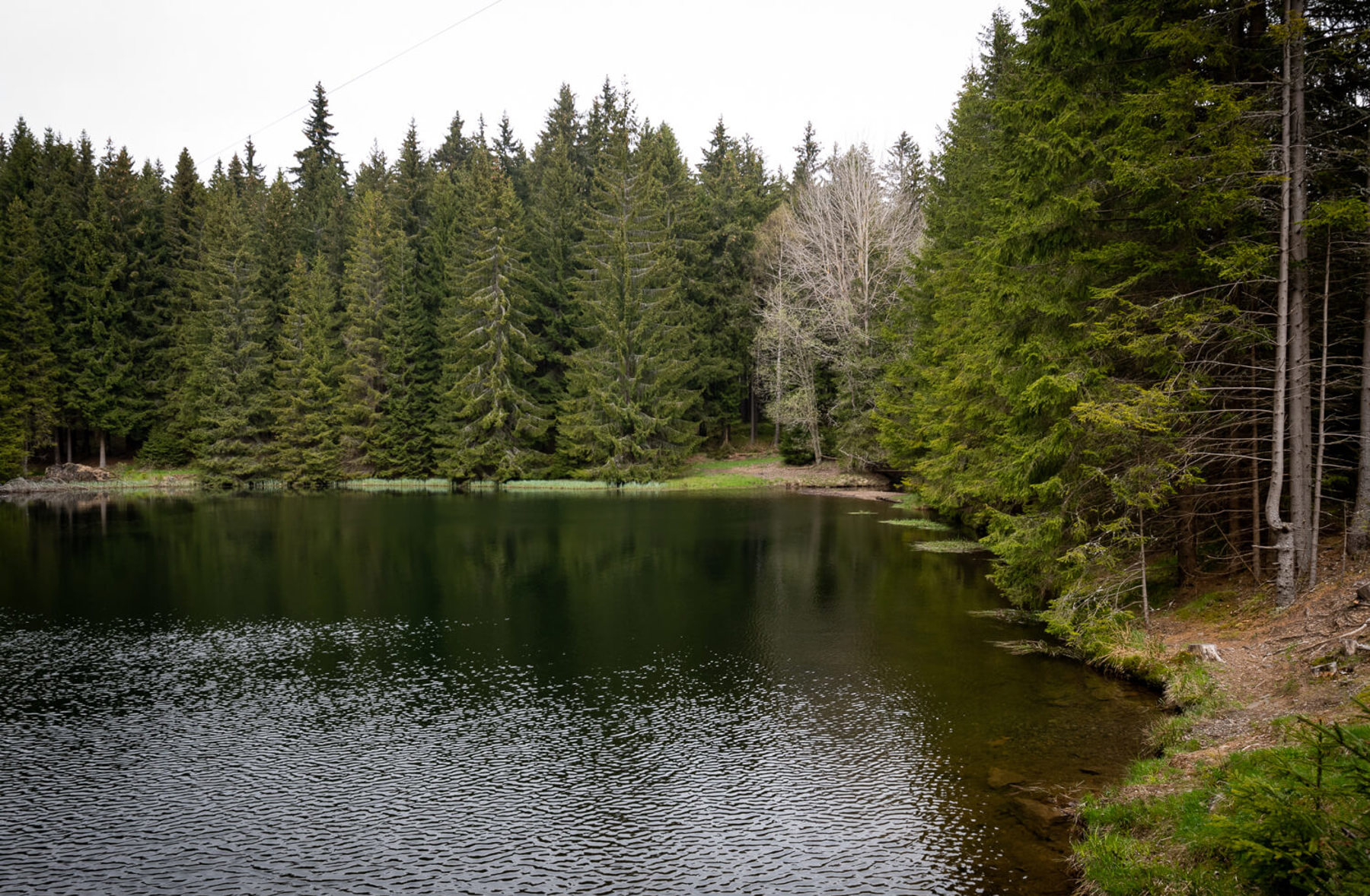 Image /media/vjrbijtm/dsc8701.jpg