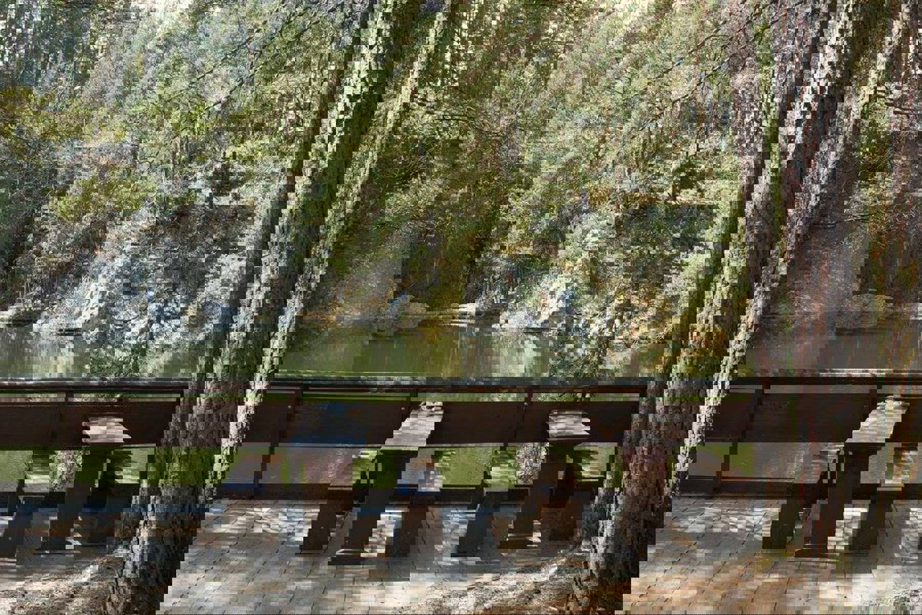 Image /media/vliltlaj/12615528_213558412324148_8022121165269485137_o.jpg