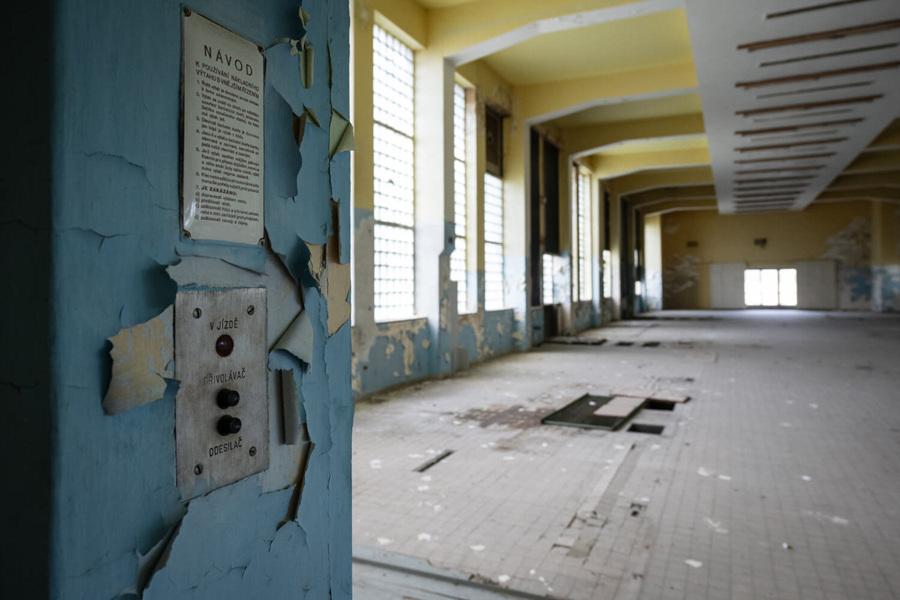 Image /media/vsafdzil/_dsc7311.jpg