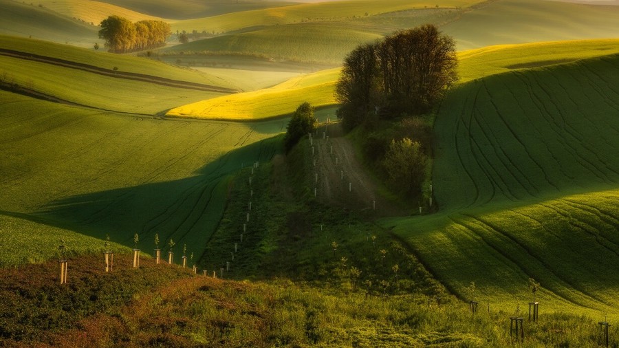Ilustrační obrázek článku 'Moravian Tuscany'