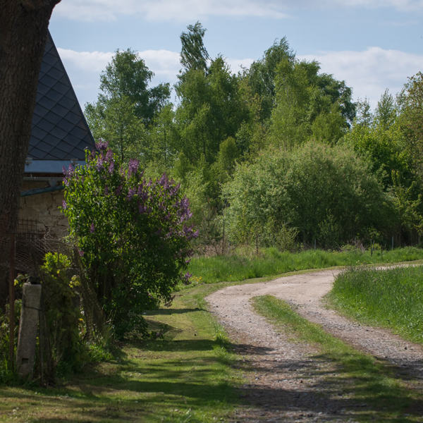 Image /media/vuoplhae/_dsc5017.jpg