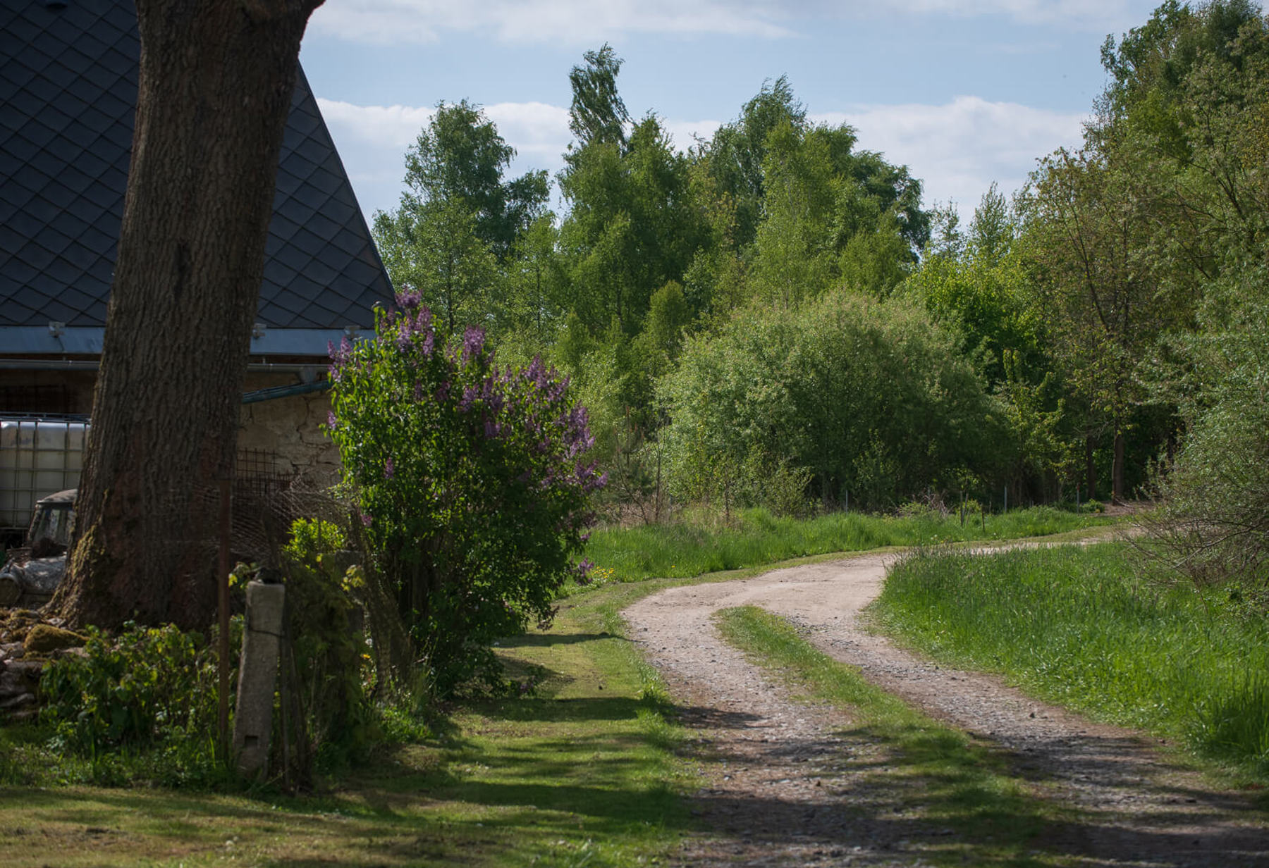 Image /media/vuoplhae/_dsc5017.jpg