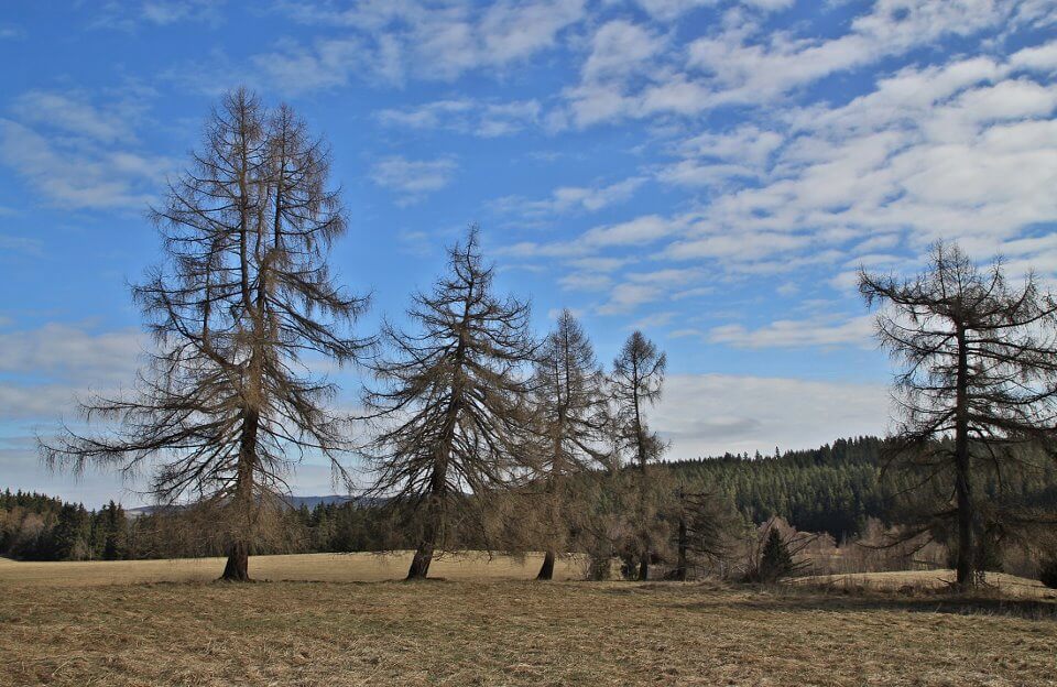 Obrázek /media/vvjbcsd5/priroda12.jpg