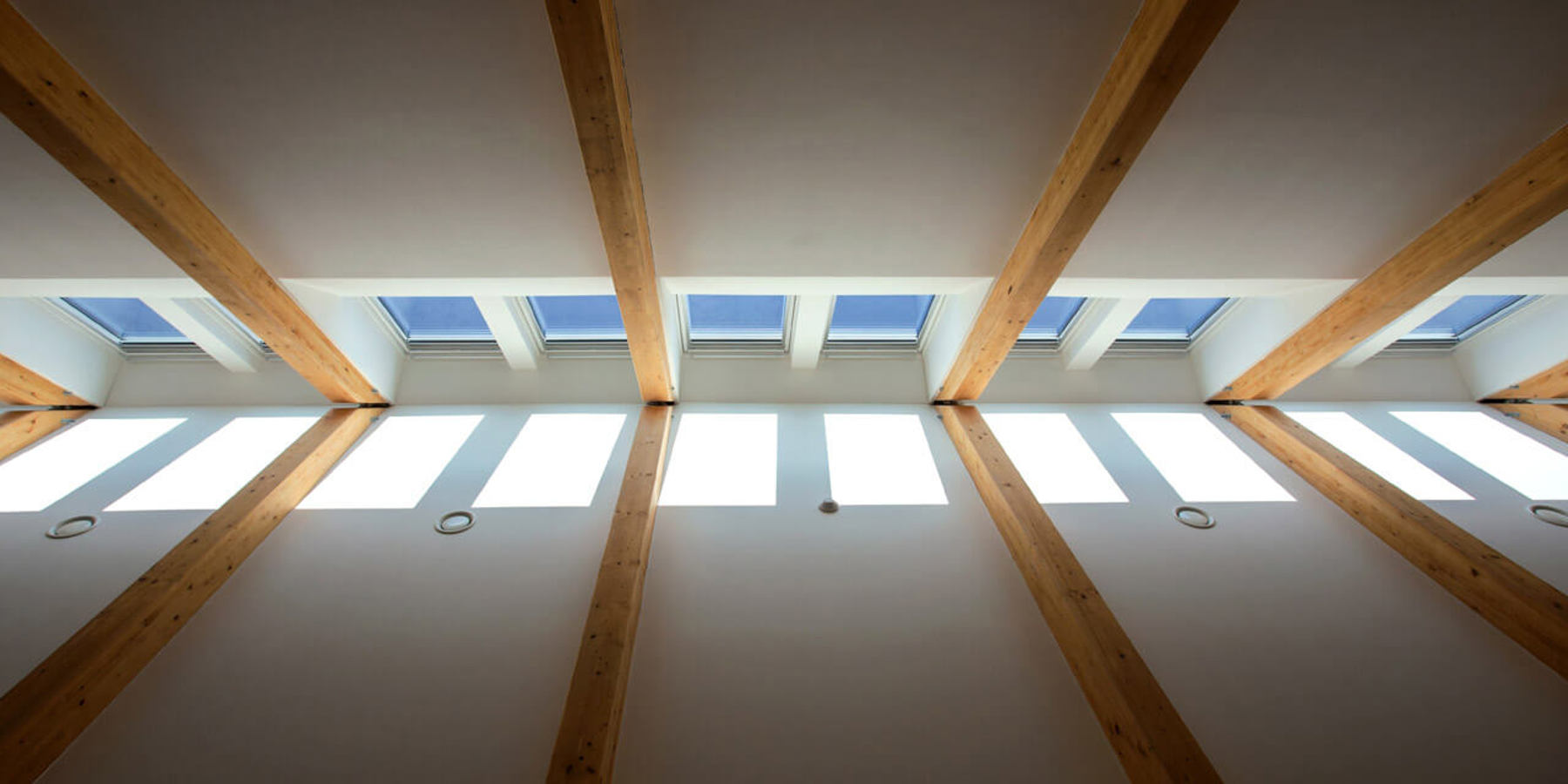 Image /media/vxpho3gp/18.jpg