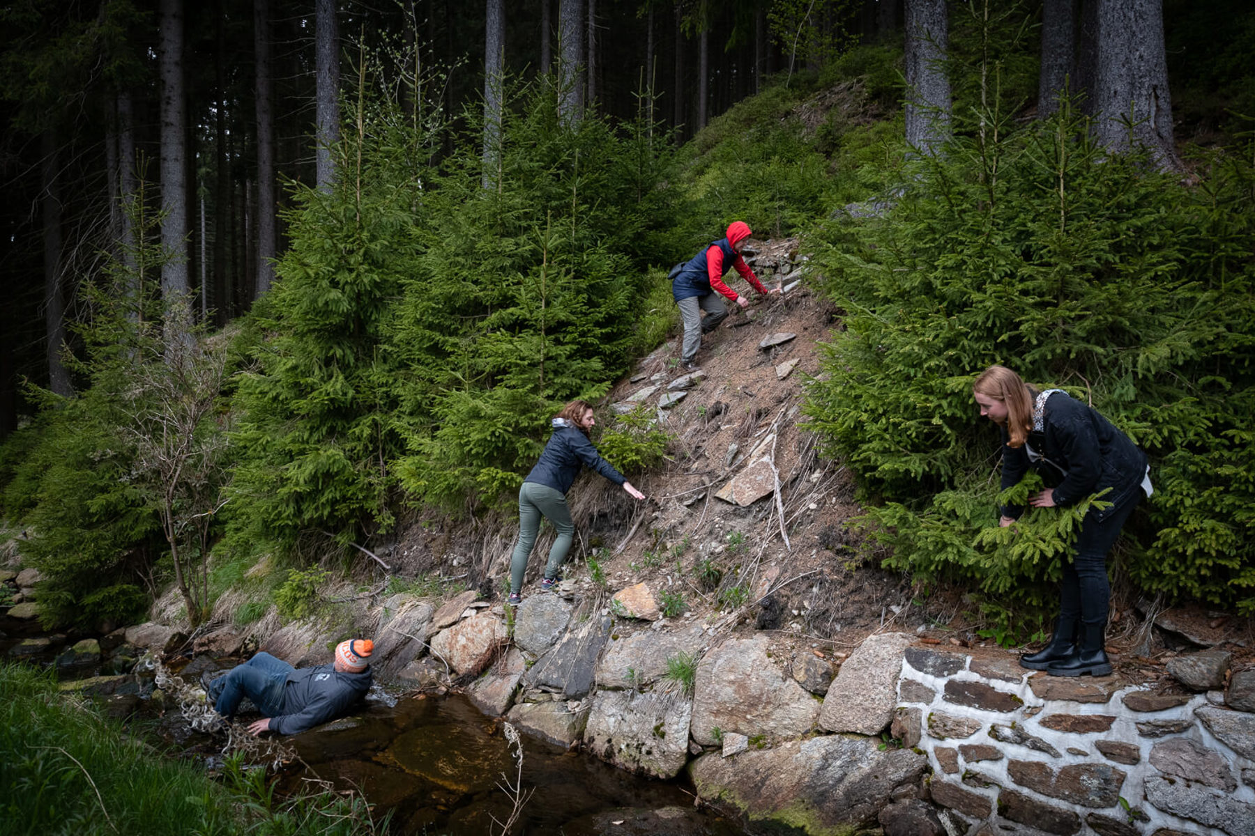 Image /media/w14fjlwi/dsc8726.jpg