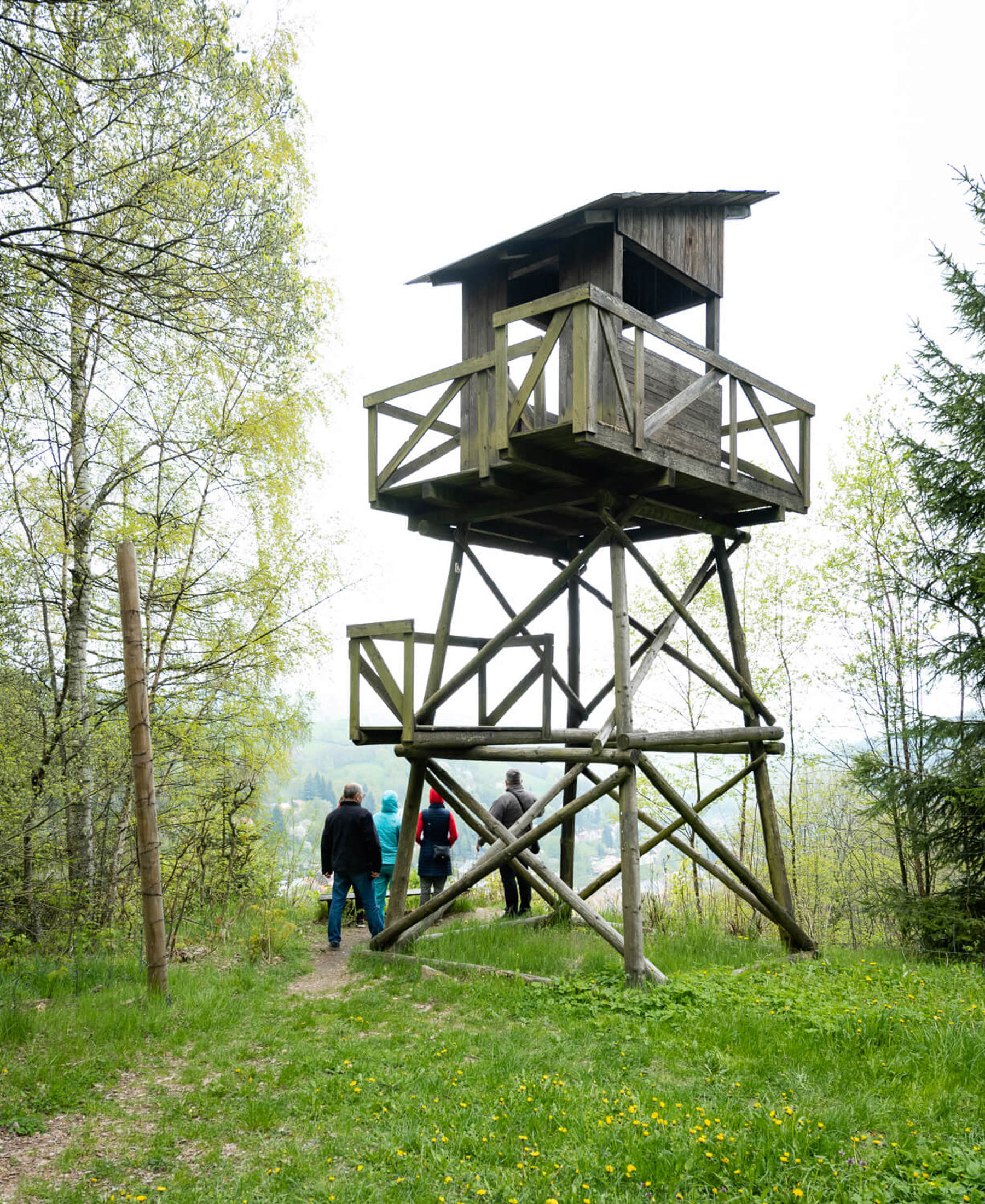 Image /media/wagjix2o/dsc8671.jpg