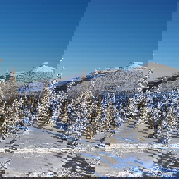 Image /media/wbbfomng/spindleruv_mlyn_-_zimni_krajina_800x600.jpg