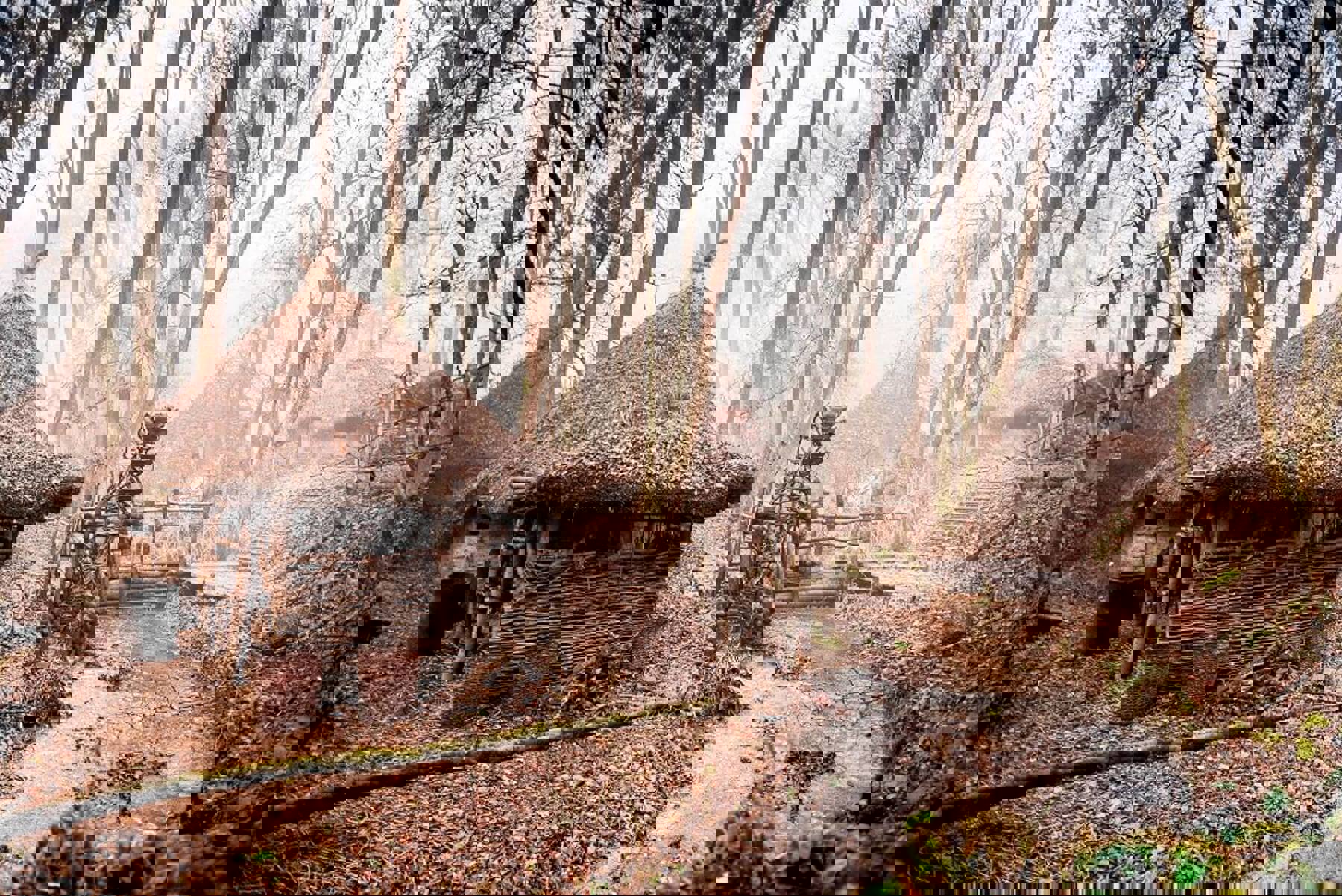 Obrázek /media/wbsahe5w/20161121-_bri4896_-_britannia.jpg