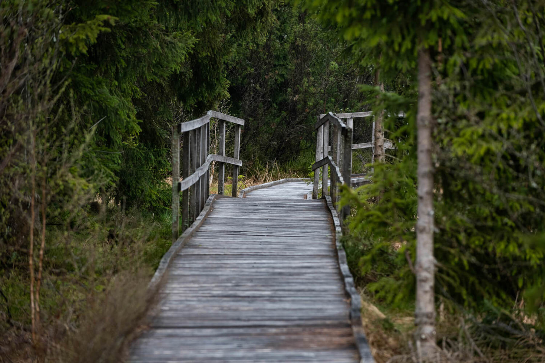 Image /media/wdkkvhum/dsc8284.jpg