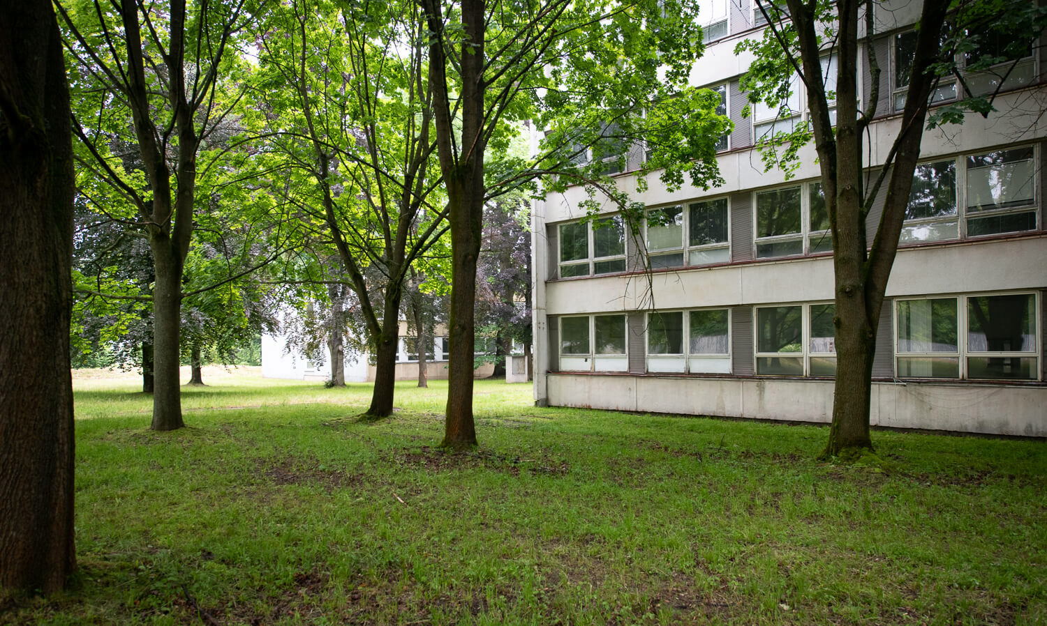 Image /media/wfhiiljf/_dsc0967.jpg