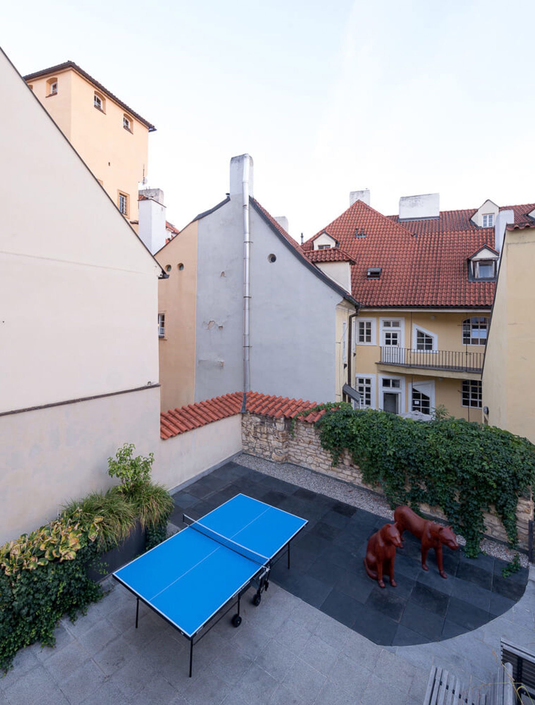 Image /media/whxphcx0/kino64_macha_73.jpg