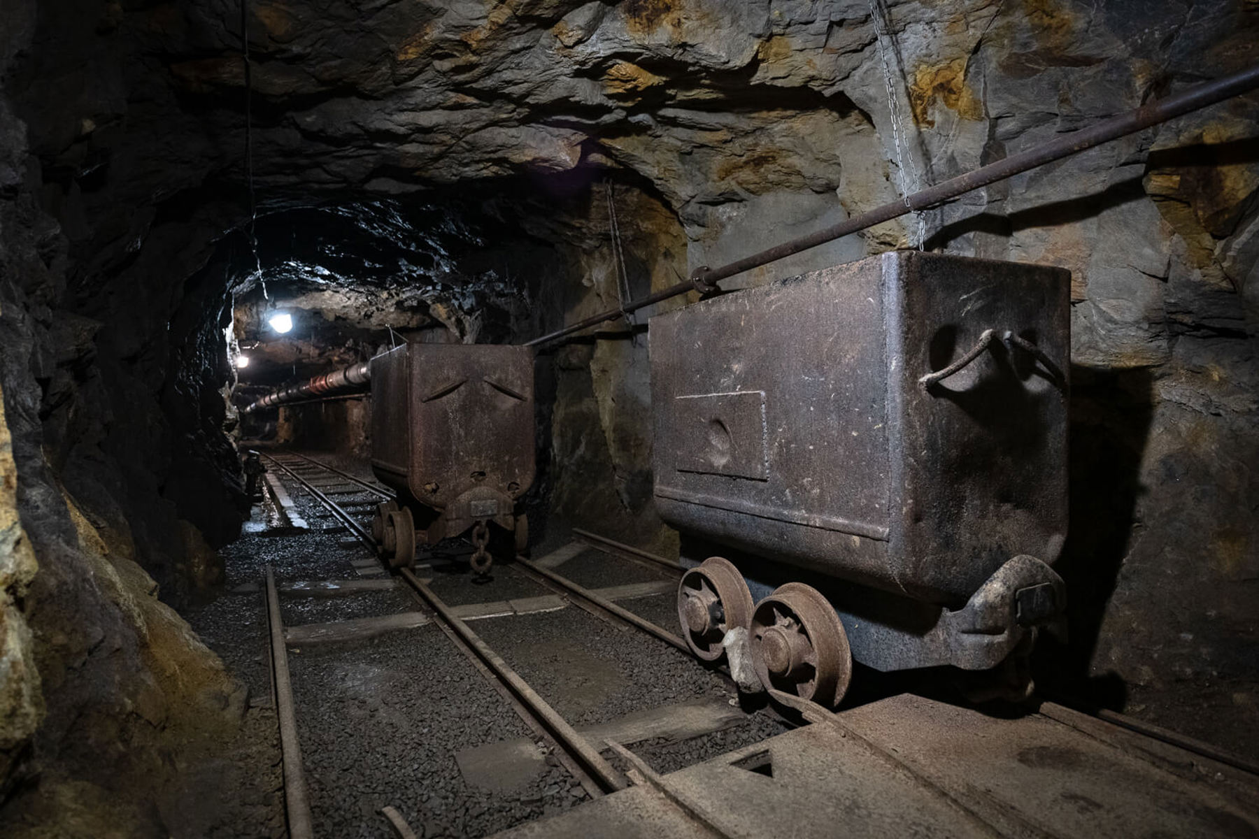 Image /media/wmnjirtz/dsc8638.jpg