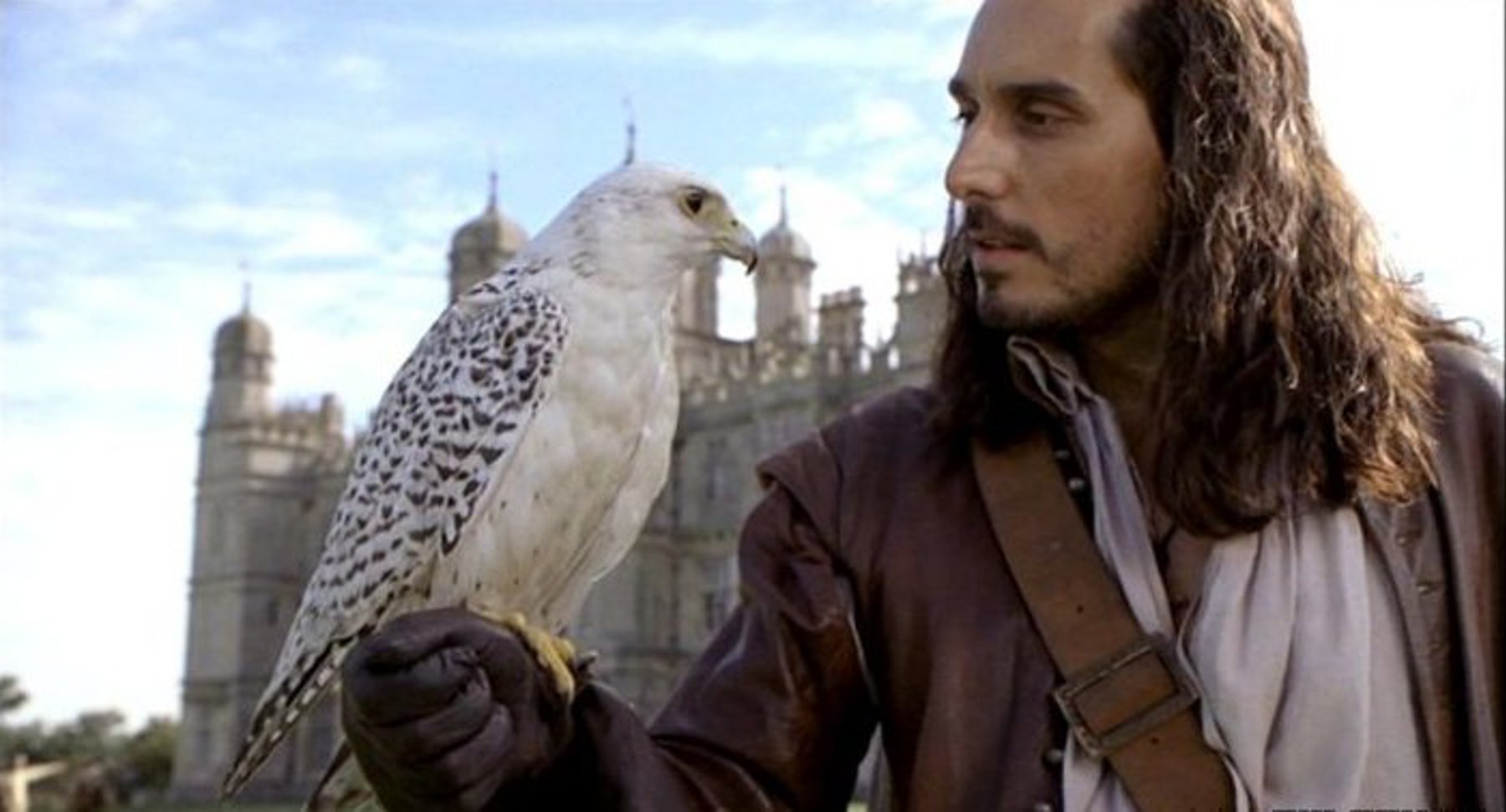 Image /media/woph0ypj/dart_3.jpg