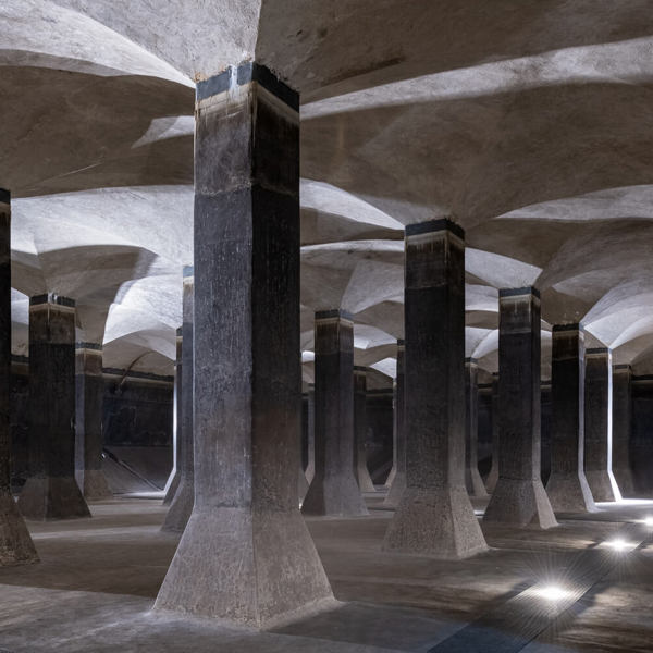 Image /media/wvdd4wlv/_dsc9207.jpg