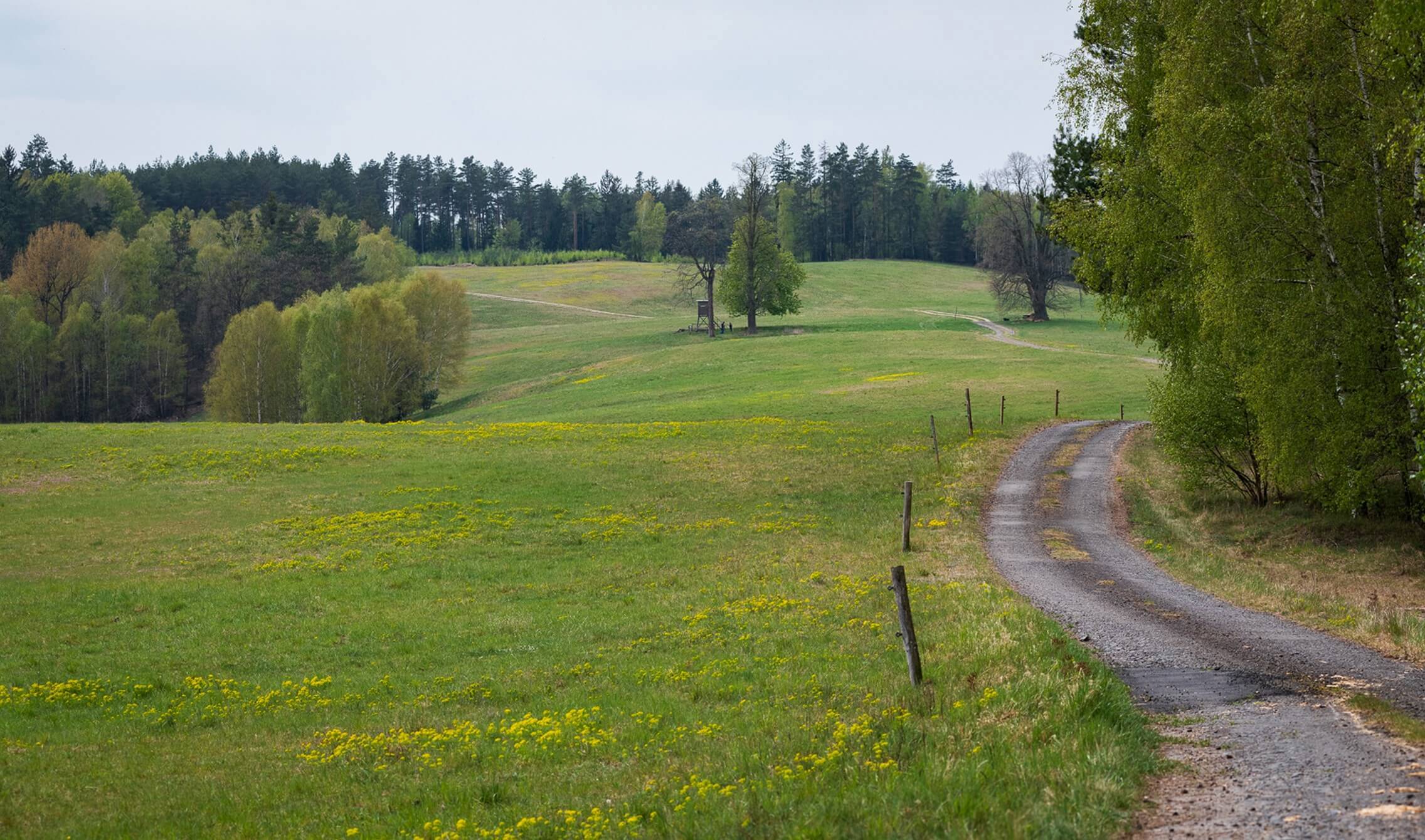 Image /media/wwab3ktp/ralsko_11.jpg