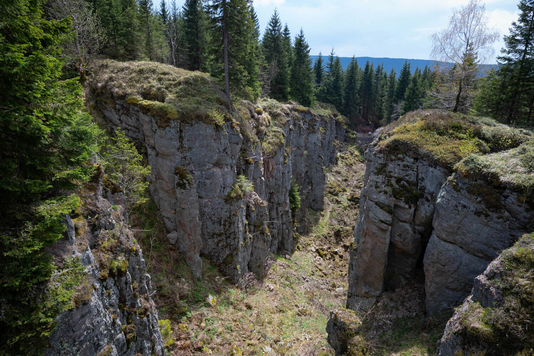 Image /media/wwqjlnq4/dsc8019.jpg