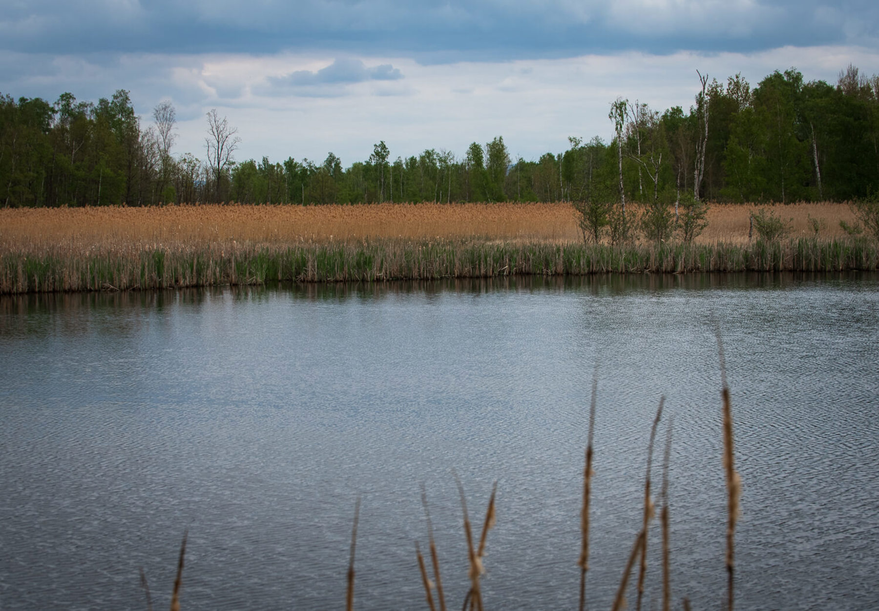 Image /media/x0ydmslc/_dsc5285.jpg