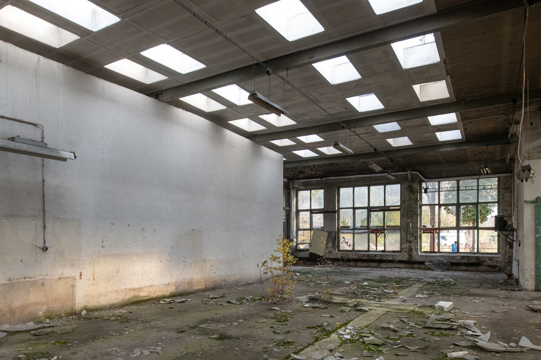 Image /media/x5bed0g4/_dsc0720.jpg