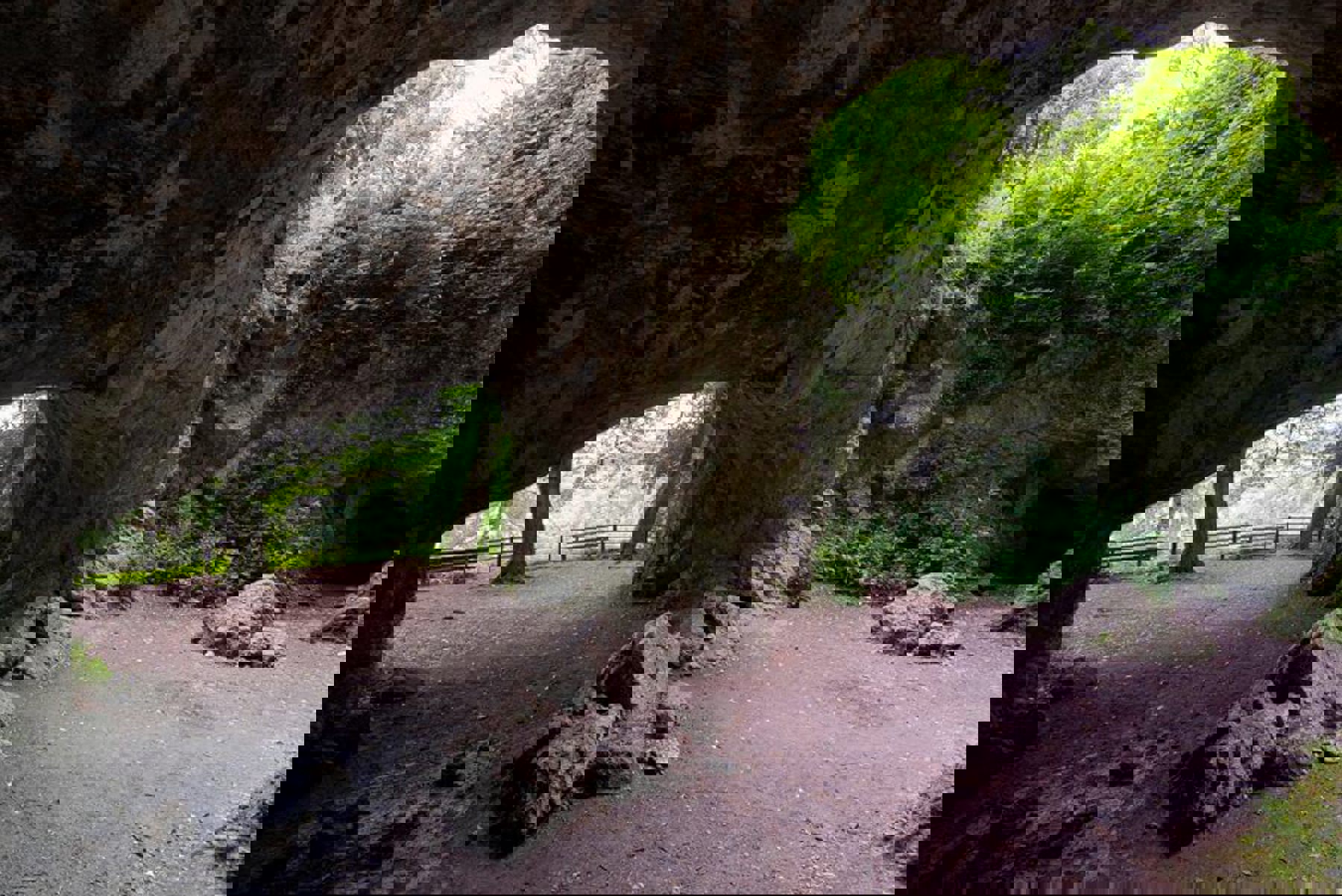 Image /media/xgyf1zei/dsc_1743.jpg