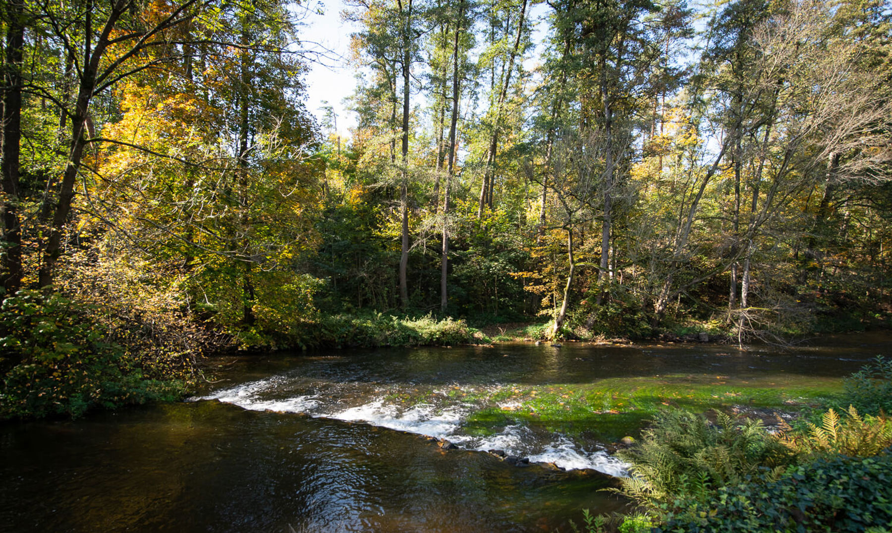 Obrázek /media/xkujbebj/dsc3190.jpg