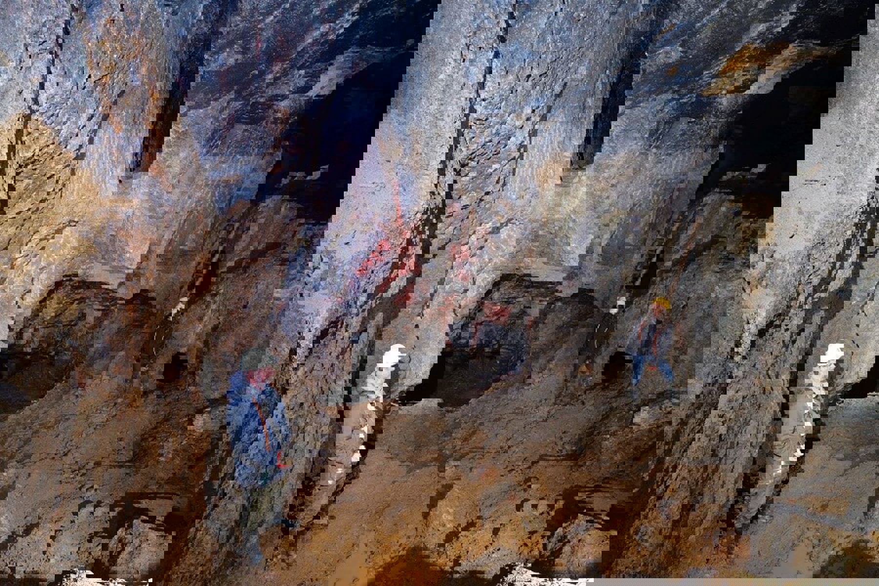 Obrázek /media/xl2ptff3/dsc_3125_sdd_2.jpg