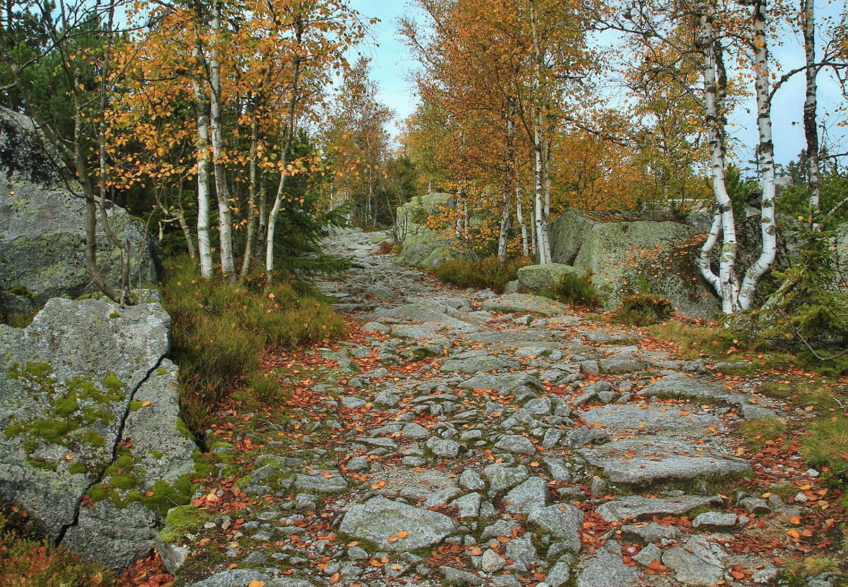 Obrázek /media/xojptoix/np_sumava4.jpg