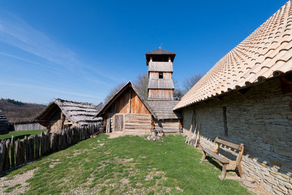 Image /media/xrlhbmqp/dsc_3874.jpg