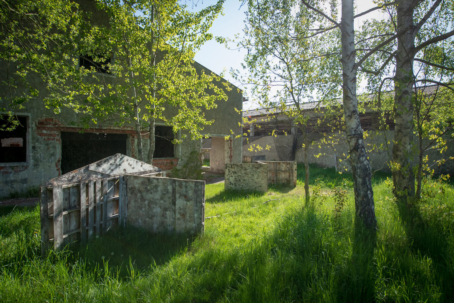 Image /media/xuxdz0do/_dsc4920.jpg