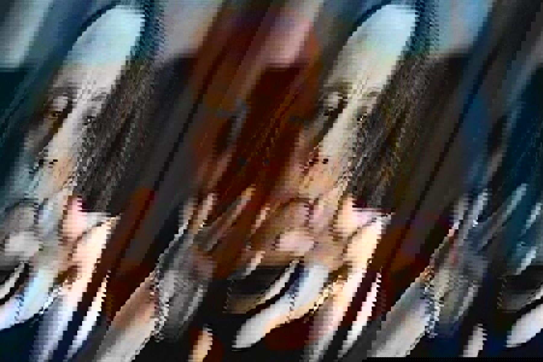 Obrázek /media/xxqjzc20/9875_709x472.jpg